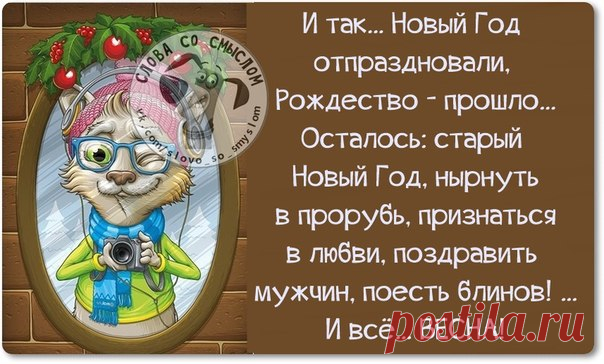 Веселые фразочки-статусы в картинках …