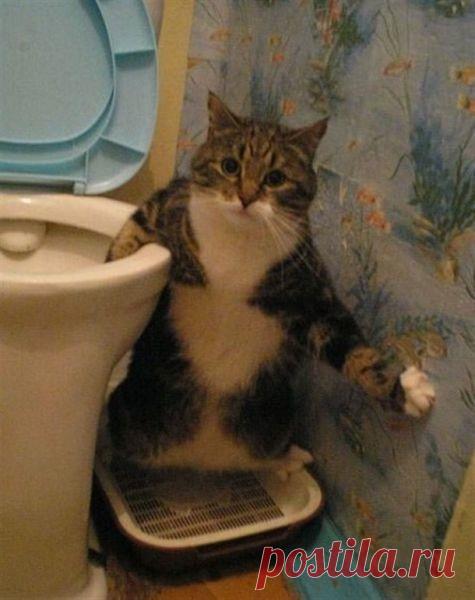 МНЕ НА ВСЕ НАСПАТЬ. - 