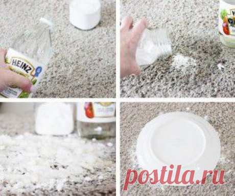 Питомец сделал лужу на ковер?