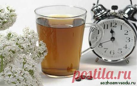 Подышите... валерьянкой..