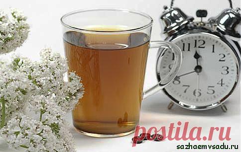 Подышите... валерьянкой..