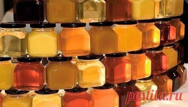 КАКОЙ МЕД И ПРИ КАКИХ ЗАБОЛЕВАНИЯХ ПОМОГАЕТ?

Акациевый.
Особенно полезен мужчинам, а также при заболеваниях почек и мочевыводящих путей.

Горчичный.
Заболевания дыхательных путей, используется как мочегонное средство.

Гречишный.
Содержит много железа и белка: очищает сосуды, способствует регенерации поврежденных тканей, повышает уровень гемоглобина. Рекомендуется беременным женщинам и людям, страдающим хроническим гастритом с повышенной кислотностью.

Каштановый.
Помогае...