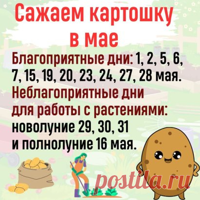 В этом году повезло - благоприятные дни выпадают на праздники