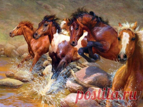 В беге тягучем топот не слышен. Кони Bonnie Marris