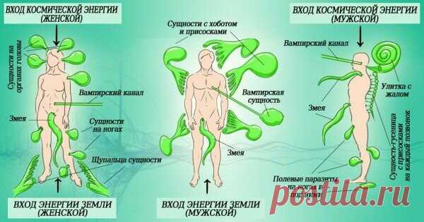 Подселение сущностей не происходит просто так. Как они подселяются? | И.ВЕРХОВСКАЯ. Проводник.Ченнелер | Яндекс Дзен
