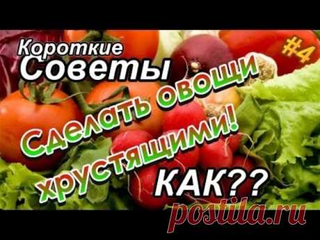 Как сделать овощи хрустящими? | Полезные советы!