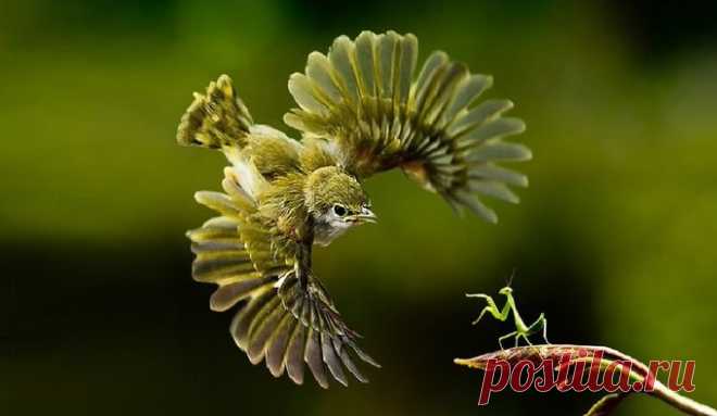 World birds on Twitter: "Humans: the real threat to life on Earth. https://t.co/bNqwE6Ouoq" / Twitter