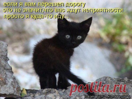 (48) Одноклассники
