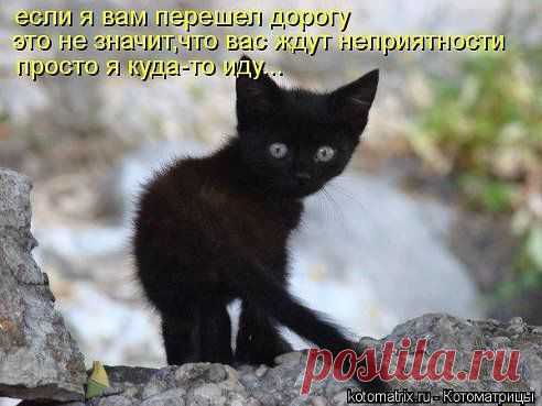 (48) Одноклассники