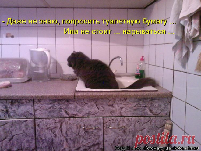kotomatritsa_Nz.jpg (Изображение JPEG, 750 × 562 пикселов)