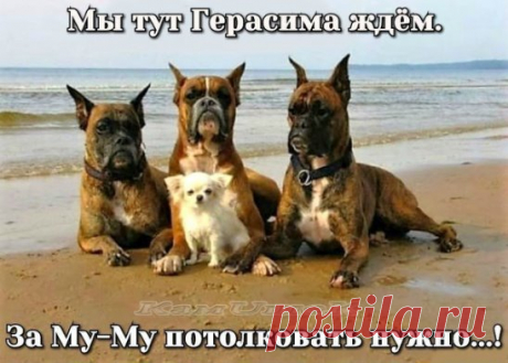 )))))