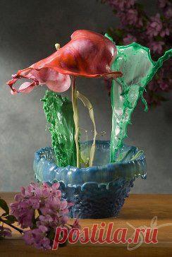 Искусство "разливной" фотографии, когда капля краски падает, отскакивает и разбивается, создавая невероятной красоты "жидкий цветок".