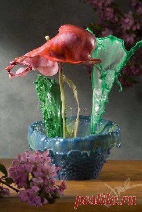 Искусство "разливной" фотографии, когда капля краски падает, отскакивает и разбивается, создавая невероятной красоты "жидкий цветок".