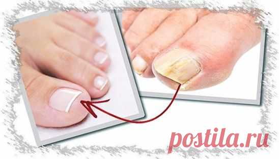 (1) Одноклассники