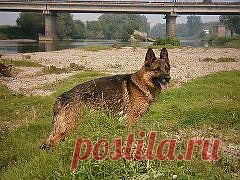 (47) Одноклассники