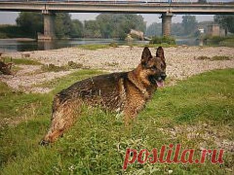 (47) Одноклассники