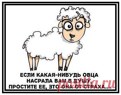 наталья онипко-якуничева
39 лет, Россия, новокузнецк