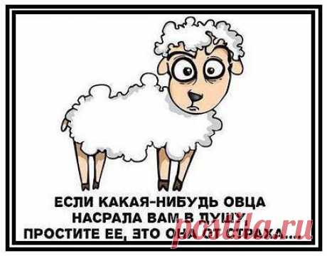 наталья онипко-якуничева
39 лет, Россия, новокузнецк