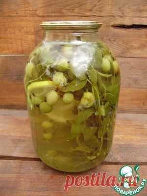 Компот из крыжовника 