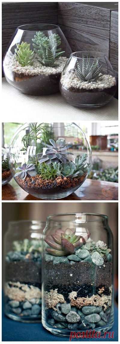 (19) Pinterest