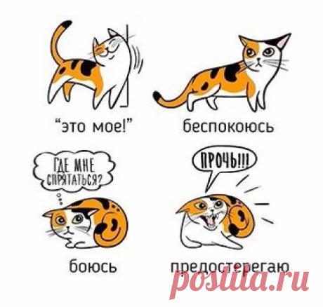 Шедевры рекламы
