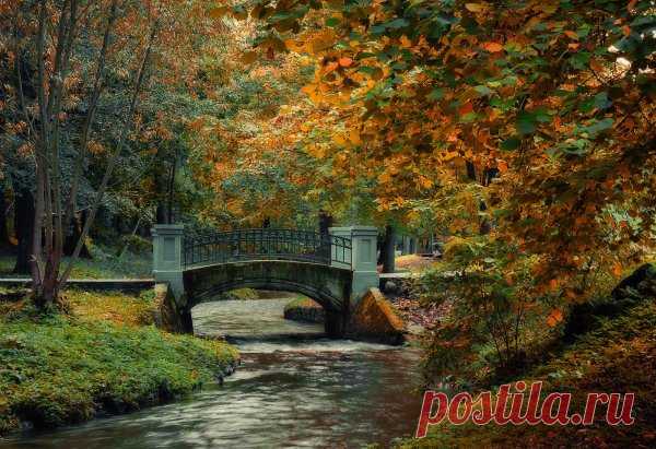 Красивые пейзажи калининградской области (48 фото)