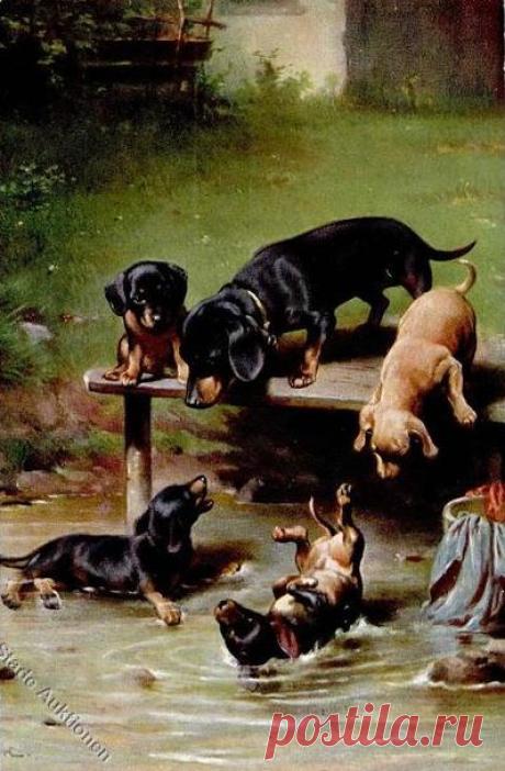 Найдено на сайте Uploaded by user.