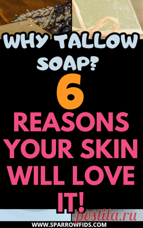 Why Tallow Soap Benefits Your Skin: 6 Power Reasons – Sparrow finds from Japan