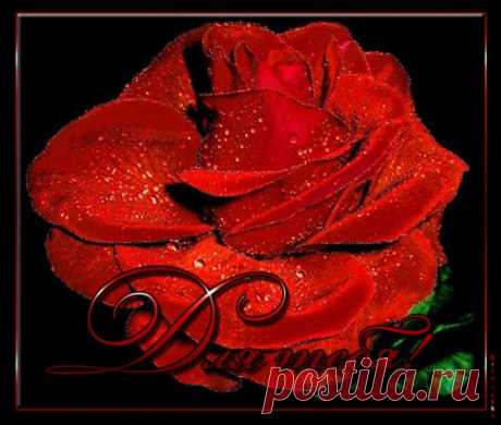 getImage (566×480)