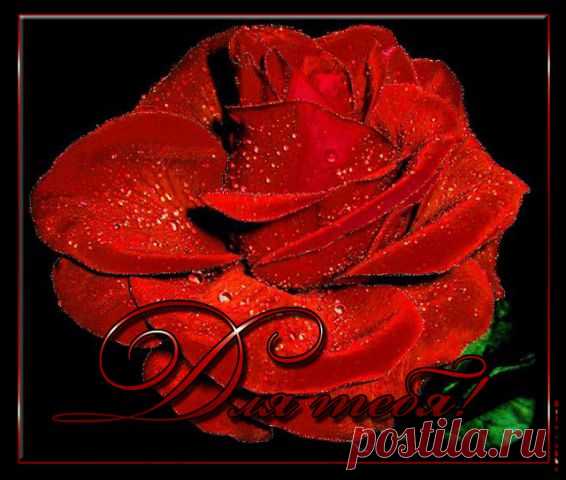 getImage (566×480)