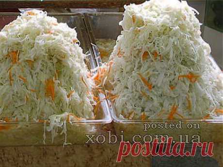 капуста белокочанная, квашенная с морковью » Домашняя кулинария и ручная работа