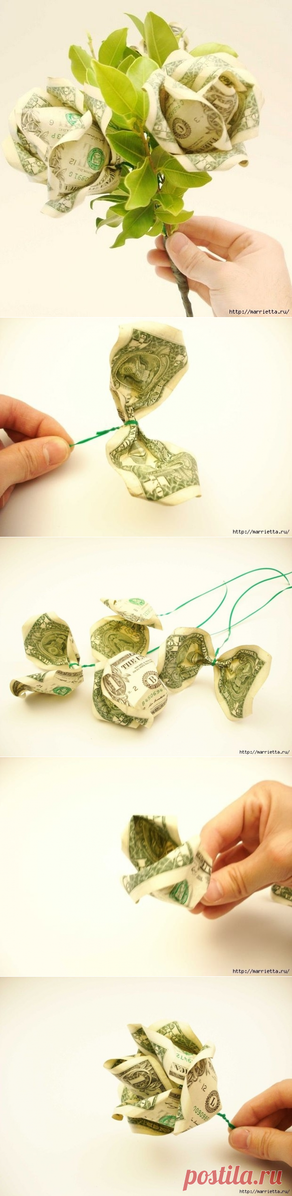 Денежные розы