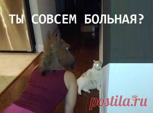 «С наступающим Вас!» — поздравляли друг друга грабли.