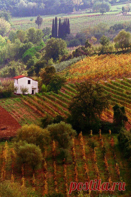 Tuscan Autumn by John Galbo