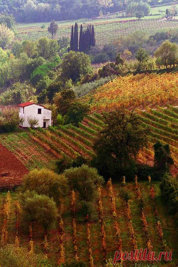 Tuscan Autumn by John Galbo