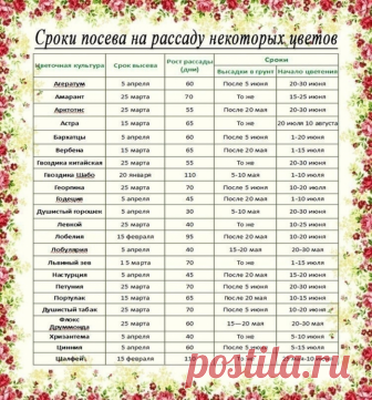 Рассада. Когда и что сажать? Полезные советы.