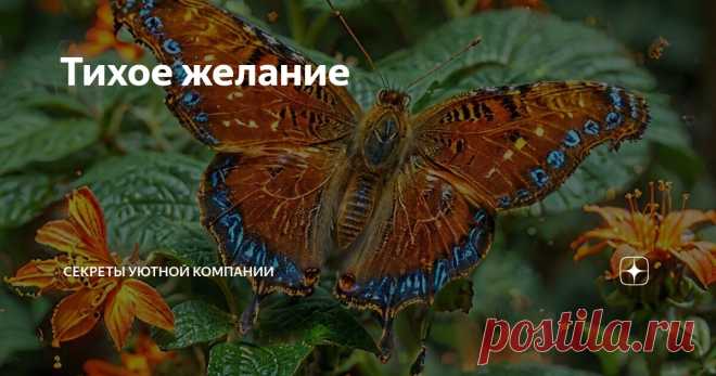 Тихое желание Статья автора «Секреты уютной компании» в Дзене ✍: Свое желание надо так тихо прошептать бабочке, чтобы для всех земных существ оно осталось тайной, и отпустить ее.