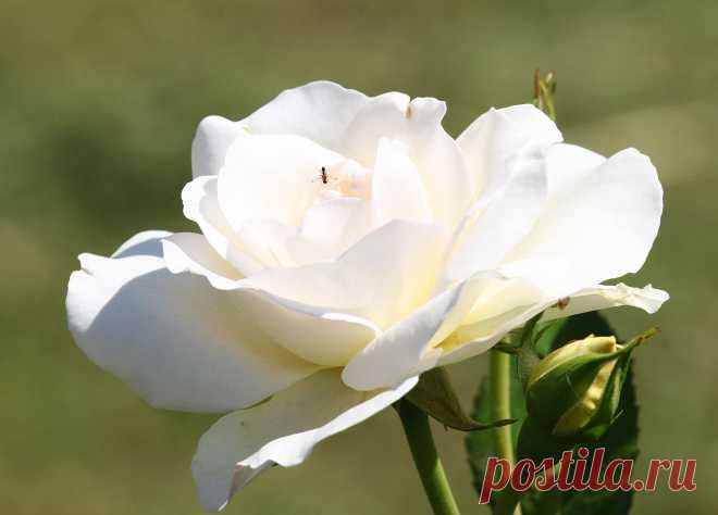 s-13864.jpg (2799×2011)