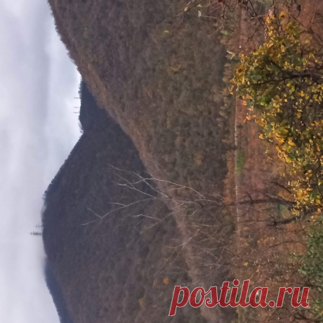 Алфавит знаний