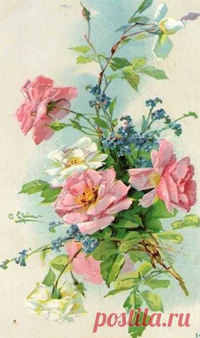 (723) Vintage Images: Catherine Klein | Fabulous Florals