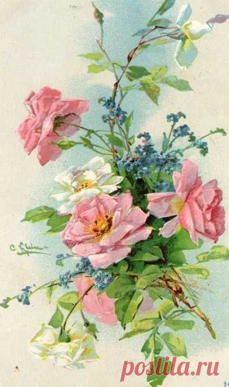 (723) Vintage Images: Catherine Klein | Fabulous Florals