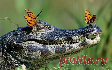 Мой Мир@Mail.Ru