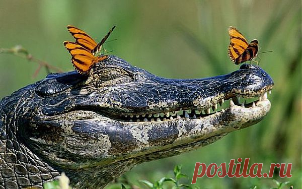 Мой Мир@Mail.Ru