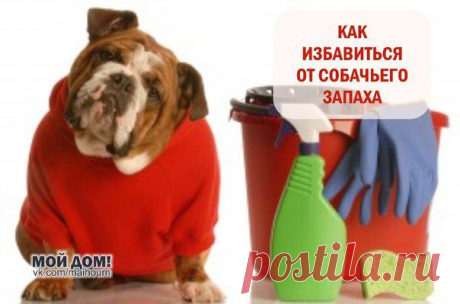 Мои закладки