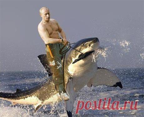 Sky News: Путин - мачо в батискафе, а Кэмерон один раз нырнул - и в больницу | Зарубежная пресса