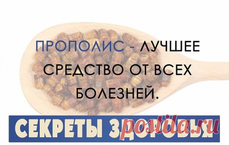 (65) Одноклассники