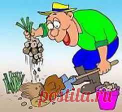 Как уберечь спину при работе на огороде | Дача - впрок