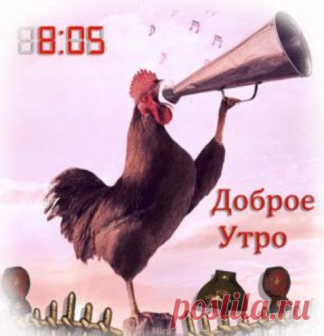 В школу пора