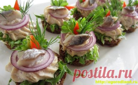 (+1) Закуски с сельдью. Вкусные холодные закуски для праздника