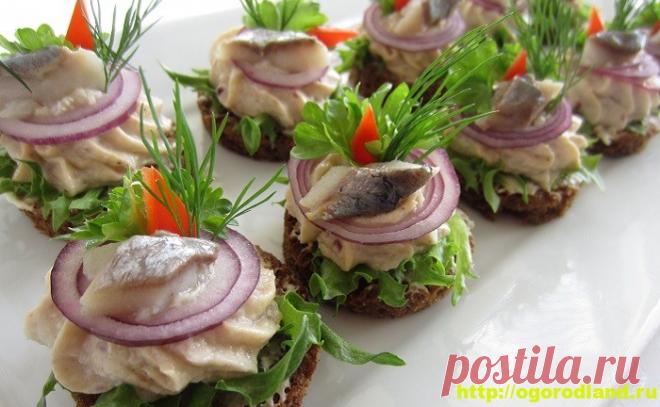 (+1) Закуски с сельдью. Вкусные холодные закуски для праздника